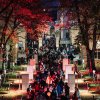 354.NIepodlegla_Fot_@TomaszTolloczko-11-11-22_websize